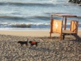 /album/fotogaleria/a555abcdef-034-jpg/
